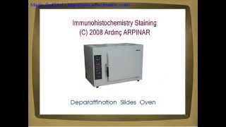 Immunohistochemistry staining steps [upl. by Letnahc173]