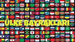 Dünya Bayrakları  1  Ülke Bayrakları  World Flags HD [upl. by Nyliac]