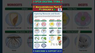 Monocotyledonous Plants ll Biology ll Science ll Class 4 To 10 ll shorts biology science [upl. by Farrah]