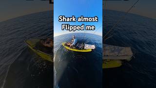 The shark almost flipped my kayak while i was fighting a tuna [upl. by Annahael402]