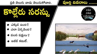 Kolleru Lake History in Telugu  Kolleru Lake Documentary  Tourism [upl. by Balfour]