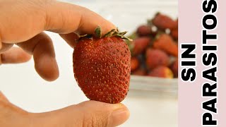 Como desinfectar las fresas facil y barato [upl. by Pascoe]