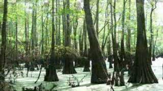 Bangs Slough off Ouachita River  Calion AR [upl. by Ahtera663]