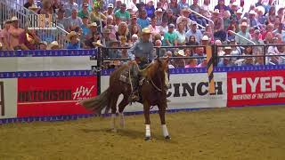 2023 NHSFR Reined Cow Horse Champion [upl. by Arret]