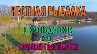 Рыбалка в Краснодарском крае Большой толстолобик на лайтовую снасть [upl. by Ardnek781]