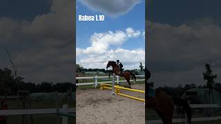 Rabea Schorfheide Springtunier 2024Rabea showjumpingfyp equestrian horseriding foryou [upl. by Noelopan702]