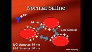 Pretransfusion Testing [upl. by Normalie998]