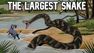 This Newly Discovered Snake Was Larger Than Titanoboa [upl. by Anhoj707]