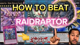 How to beat Raidraptor YuGiOh [upl. by Hilten]