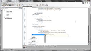 How to Create a New WSDL from Scratch with oXygen XML Editor 15 [upl. by Leimaj643]