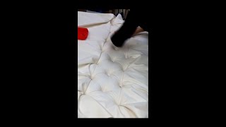 HOW TO UPHOLSTER A TUFTED HEADBOARD START TO FINISH ALO Upholstery [upl. by Eintrok]