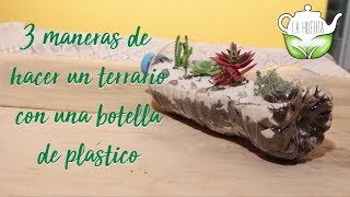 3 maneras disitnas de hacer un terrario con una botella de plástico PET DIY  La Huerta Orgánica [upl. by Amsirp]