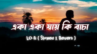 জানেরে খোদা জানে Janere Khuda Jane  LOFi Slowed X Reverb By F A SumonBangla sad song [upl. by Leontina297]