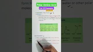 Polar Amino Acids  Examples aminoacids12 biochemistry gpat2025 pharmacyindia [upl. by Serles]