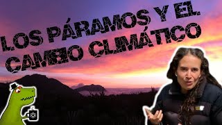 Respuesta de los páramos a cambio climático [upl. by Enelec490]