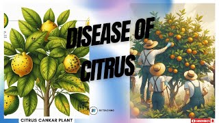 DISEASES OF CITRUS [upl. by Ayak116]