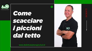 Come scacciare i piccioni dal tetto [upl. by Nnil]