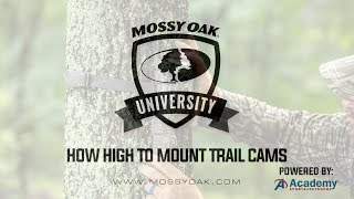 How High or Low To Mount Trail Cameras [upl. by Aiotal]