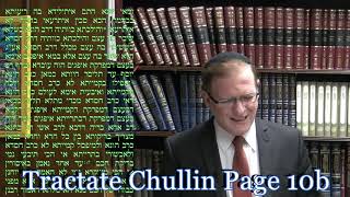 Talmud Daf Yomi Chullin 10 Rabbi Dr Moshe Weisblum תלמוד דף יומי חולין י׳ הרב דquotר משה ויסבלום [upl. by Llenehc]