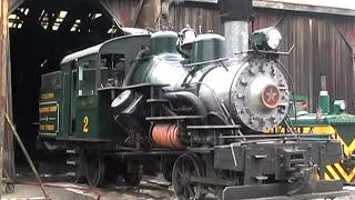 Steam Train Heisler Locomotive Roaring Camp [upl. by Naerad]