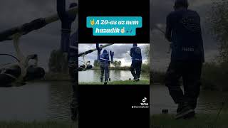 A 20as halibut☝🏻 fishing carpfishing carp fishingvideo fishinglife eldorádóhorgásztó [upl. by Sinnej]