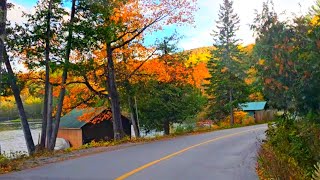 Gatineau Park in Fall canada quebec [upl. by Tedda324]