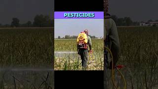 PESTICIDES pesticides shorts  WHAT IS PESTICIDES viral treanding insecticidesherbicides [upl. by Joelynn]