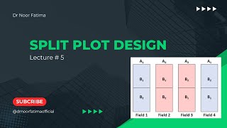 Split plot design STAT 701 [upl. by Anelhtac731]