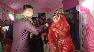 Wedding Dance Behuli Song [upl. by Anada]