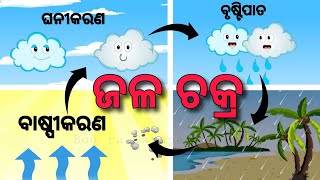 BUDHIA BUDHABAR 48  ଜଳ ଚକ୍ର  What is Water Cycle  BOU RA GAPAPEDI  STORY TELLER  ODIA GAPA [upl. by Lim]