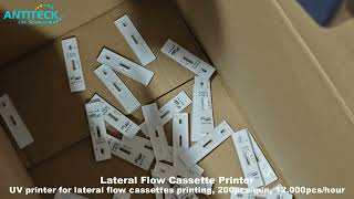 Lateral Flow Printer For Lateral Flow Cassettes Printing  UV Printer For Rapid Test Manufacturing [upl. by Haroppiz]