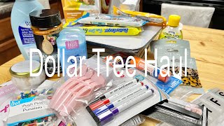 Dollar Tree Haul [upl. by Ahsenet]