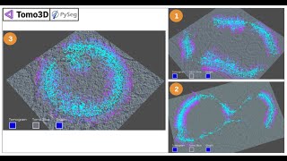 Membrane picking with Pyseg Instruct course on cryo electron tomography Madrid December [upl. by Ahsemot894]