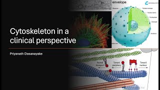 Cytoskeleton in a CLINICAL Perspective [upl. by Dranyer]