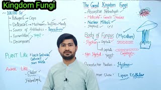 81 Kingdom Fungi  Introduction of Fungi  Body of Fungi Fsc Biology class 11 [upl. by Seto10]