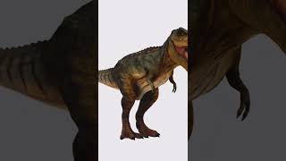 Trex Tyrannosaurus Rex 🦖 dinosours trex jurassicworld dinosaus dino trexfamily [upl. by Enyawal]