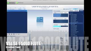 VSL SE 1 quotSoloquot FLUTE demo [upl. by Malcah]