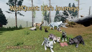 Lifes Journeys Recap 1  Artemis Litter 1 [upl. by Oiramd]