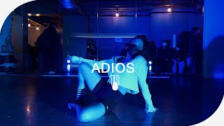 Hoody  안녕히Adios Feat GRAY l BELLA Choreography [upl. by Lukash625]