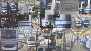 【鉄道PV】横須賀線総武線E217系 引退PV ありがとうE217系 [upl. by Phenica287]