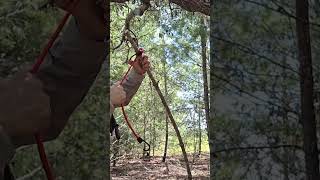 Bungee Cord Spring Snare bushcraft survival trapping [upl. by Nihahs]