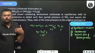 Ammonium carbamate dissociates as NH2COONH4 s 2NH3 gCO2 g In a clos [upl. by Iene]