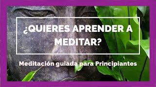 ¿Quieres APRENDER a MEDITAR MEDITACIÓN guiada para PRINCIPIANTES [upl. by Ohara]