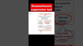 Dexamethasone suppression test [upl. by Nnairb]