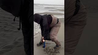 Razor Clam digging Washington State [upl. by Denten]