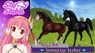 Anmutige Araber 💜 Star Stable Online Update News »38« [upl. by Kcaz]