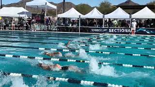 Spring Sectionals Phoenix AZ 100BK LCM  10946 [upl. by Lothair]