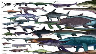 Extinct aquatic reptiles length comparison [upl. by Auburta]