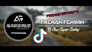 DJ SLOW • PREMAN FEMINIM • VIRAL TIKTOK  ku tak suka preman brengsk SANTUY STYLE [upl. by Gnivre]