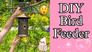 DIY Bird Feeder 🐦😱💕  Summer Craft Ideas  Waste Bottle Bird Feeder [upl. by Garwood633]